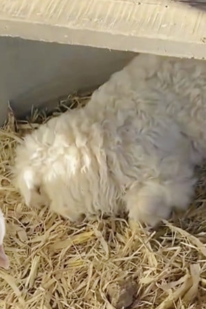 Trung Quốc ảnh 2 Trung Quoc anh 2