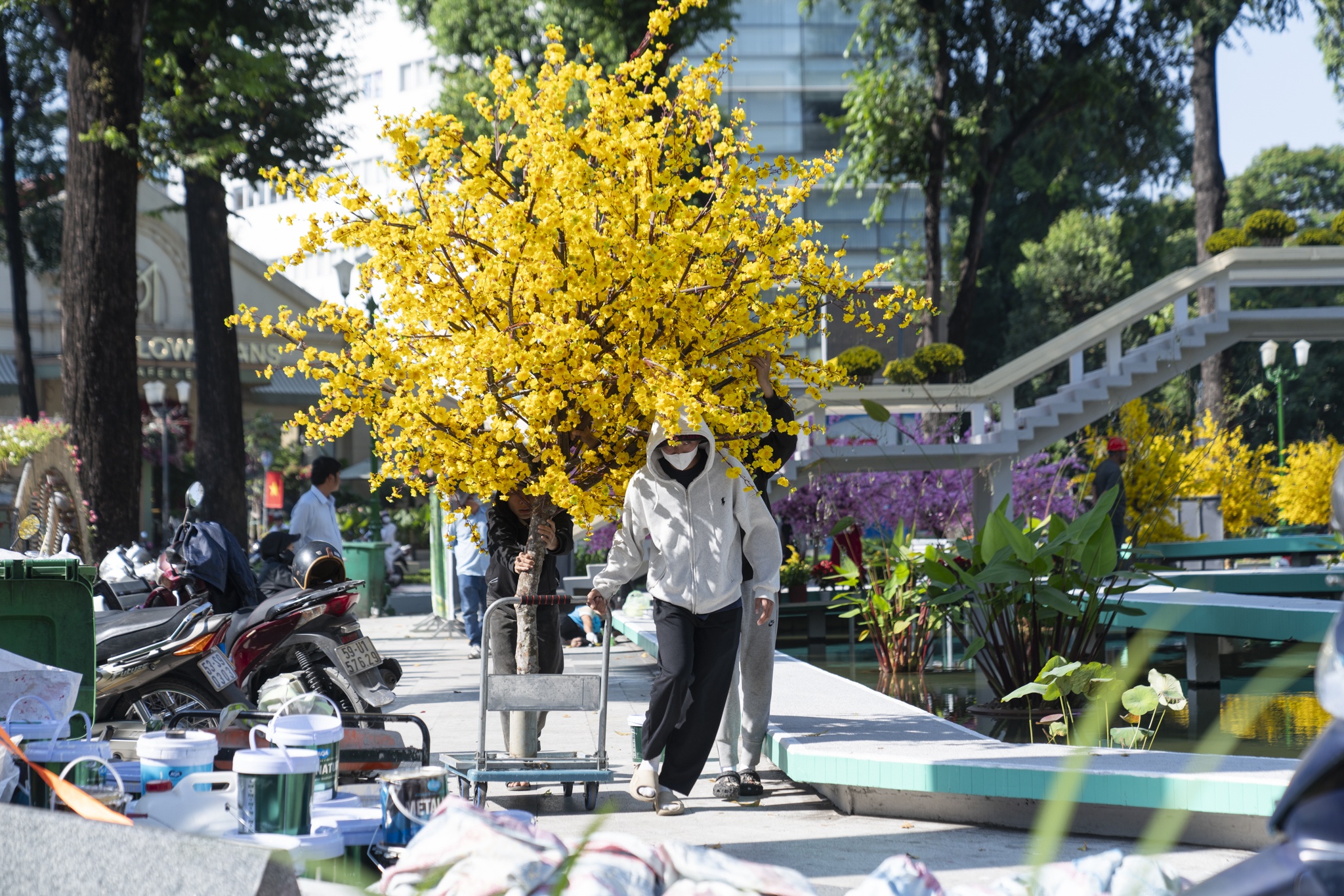 タートル湖(写真3) Ho Con Rua anh 3