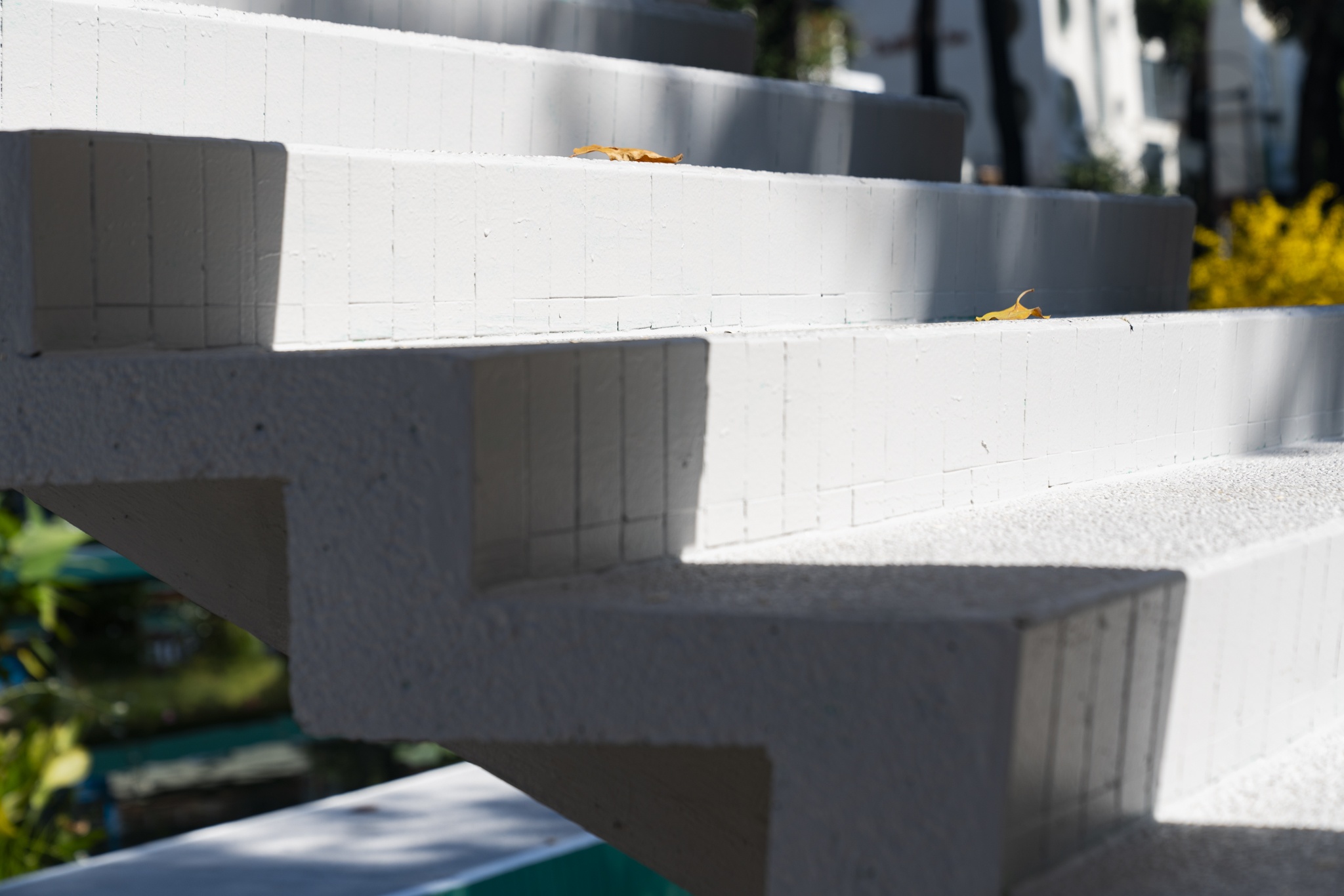 タートル湖(写真4) Ho Con Rua anh 4