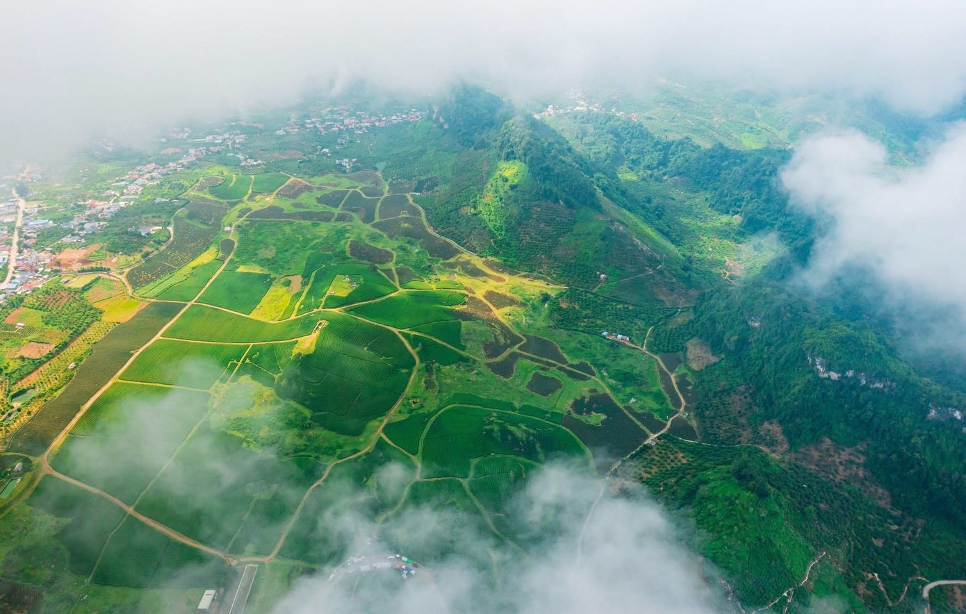 Doi che Moc Chau anh 1