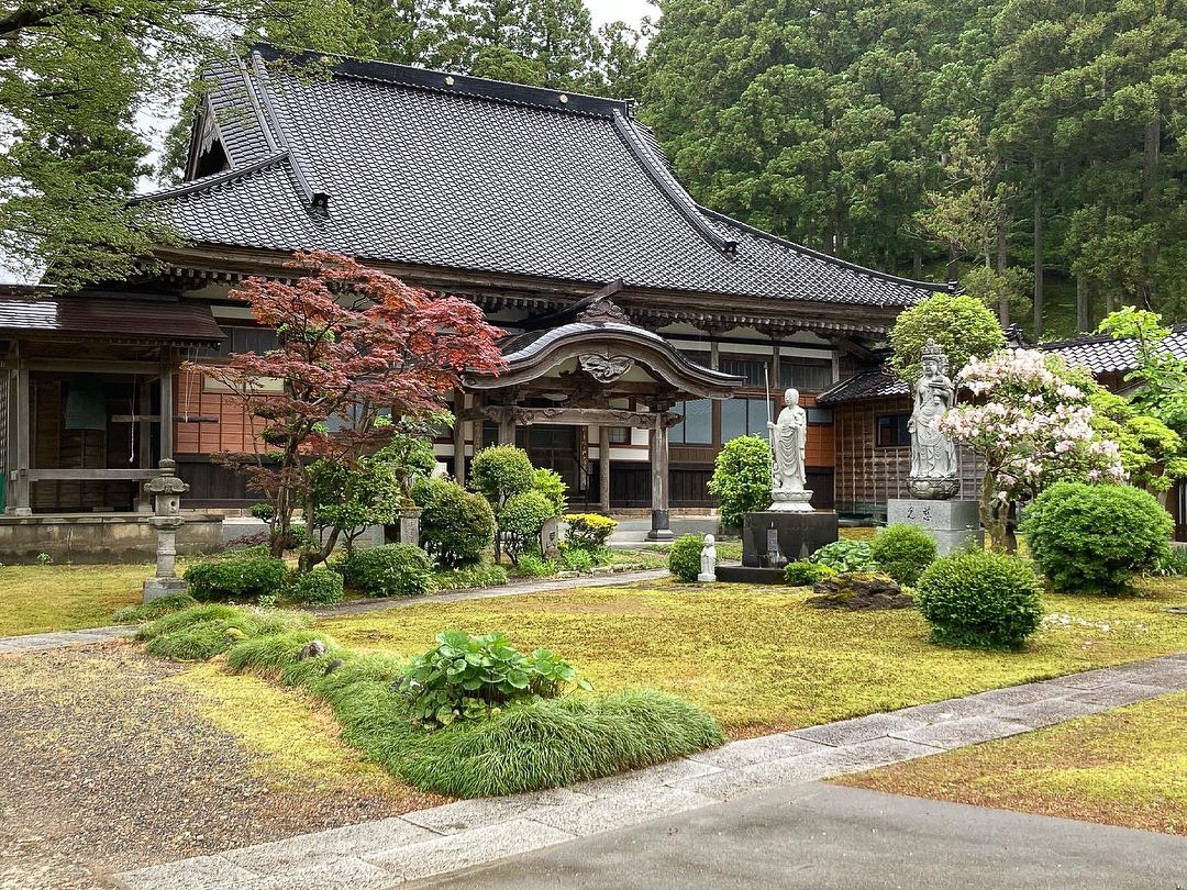 Sư ảnh 5 Su anh 5