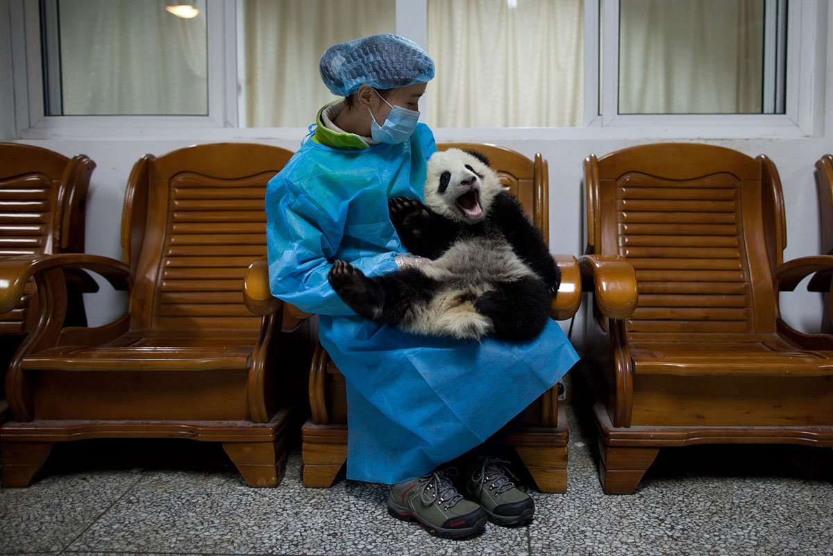 dong dat Tu Xuyen anh 5