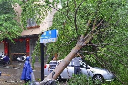 Bao Utor ap vao Trung Quoc, hon 158.000 nguoi so tan hinh anh