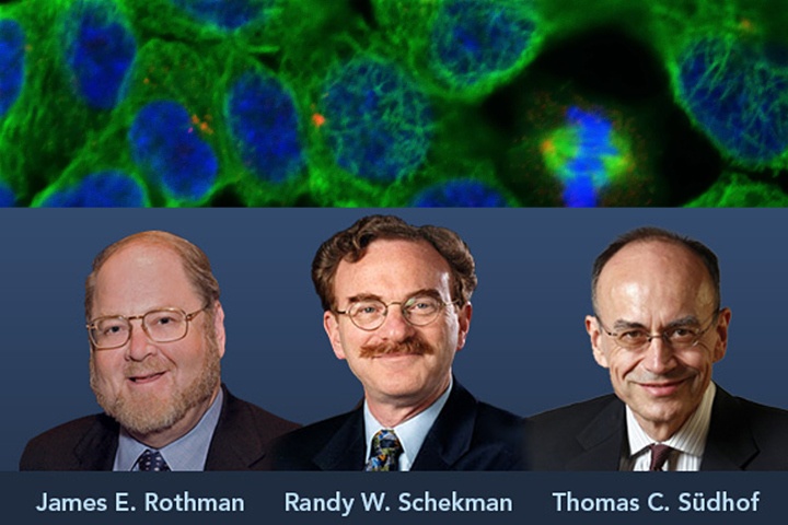 Nobel Y hoc ton vinh ba nguoi giai ma bi mat cua te bao hinh anh