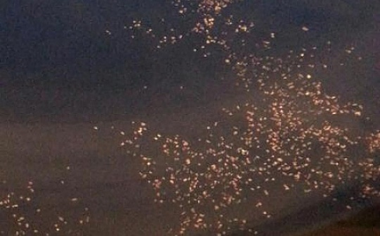 Anh cac manh vo chup tu tren cao gan vi tri may bay mat tich hinh anh