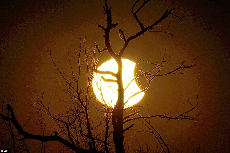 Canh tuong nhat thuc cuoi cung trong nam hinh anh