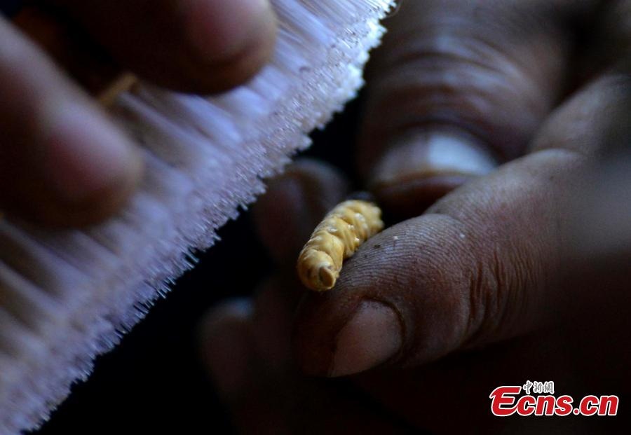 Chủ cửa hàng lau sạch 