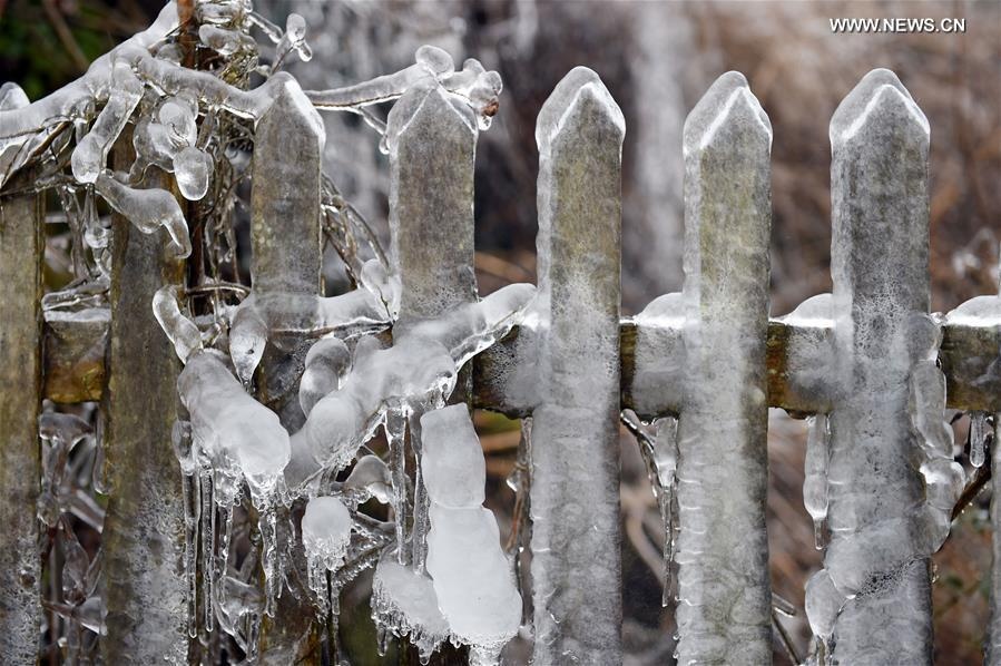 Trung Quoc nang muc canh bao khi nhiet do thap ky luc hinh anh