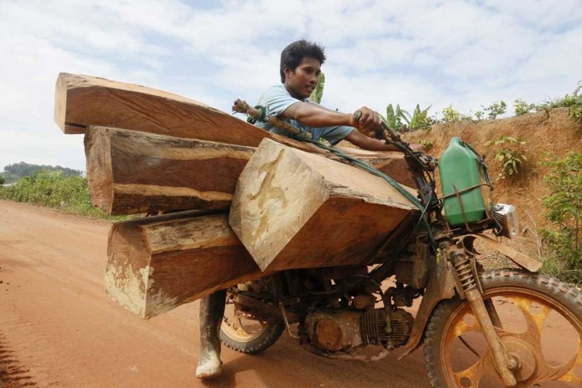 Campuchia chan nan pha rung bang ten lua hinh anh