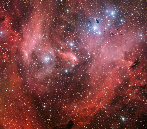 hinh thu la thuong cua tinh van anh 6