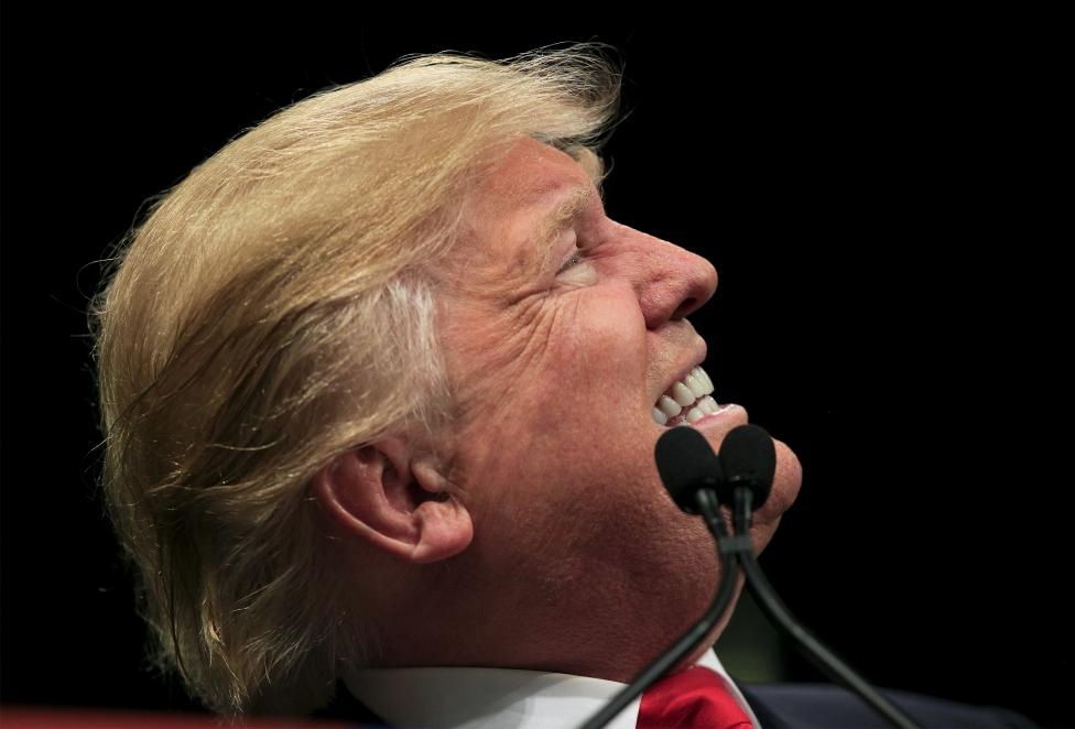 Cac nghi si Anh chi trich Donald Trump hinh anh