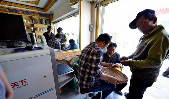 canh ban dong trung ha thao anh 2