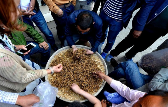 canh ban dong trung ha thao anh 7