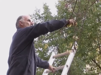 Tai nan cua cong nhan tia cay hinh anh