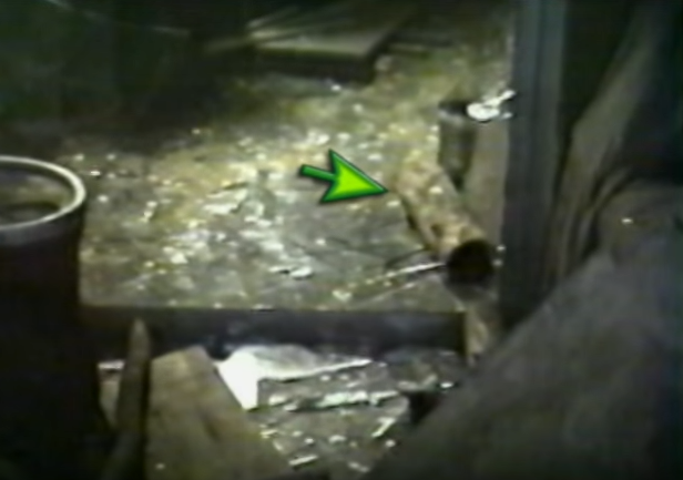 cai chet cua trieu phu anh 5