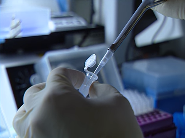 La thu tuyet menh anh 13