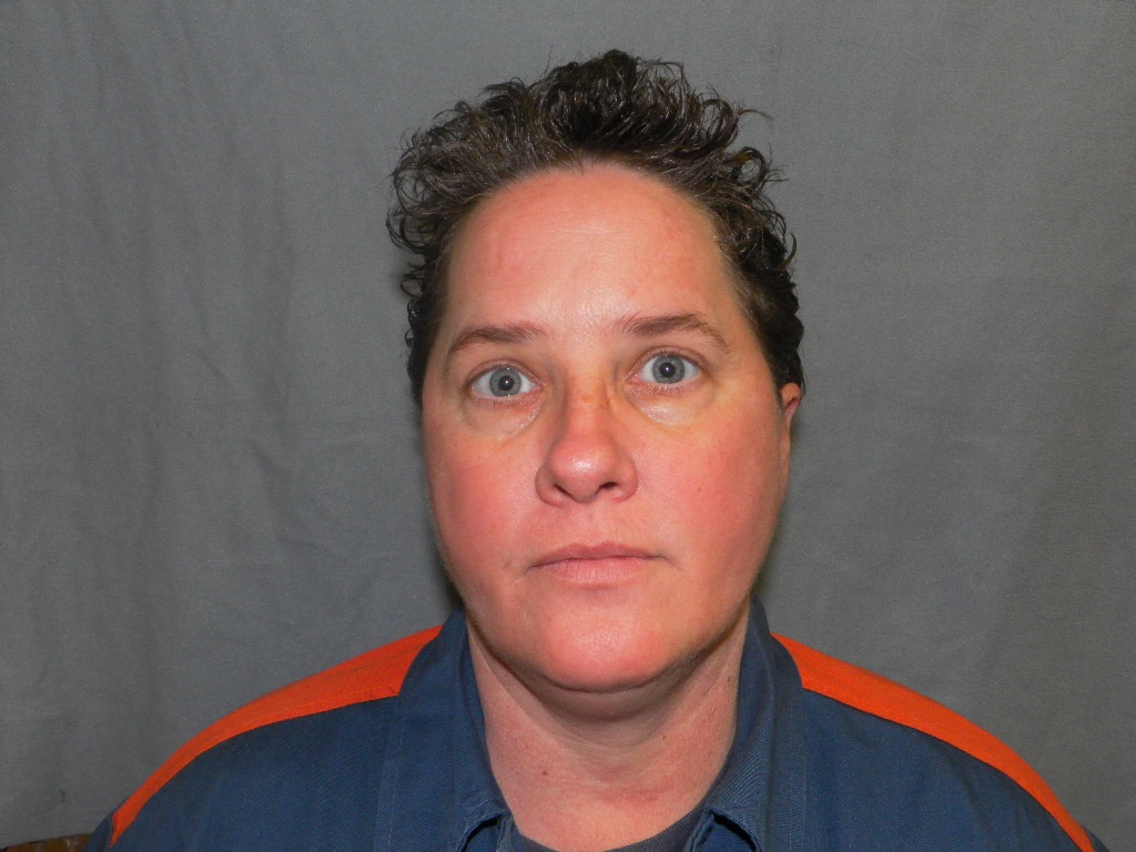 Cai chet cua trieu phu anh 1