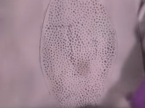 Cai chet cua trieu phu anh 4