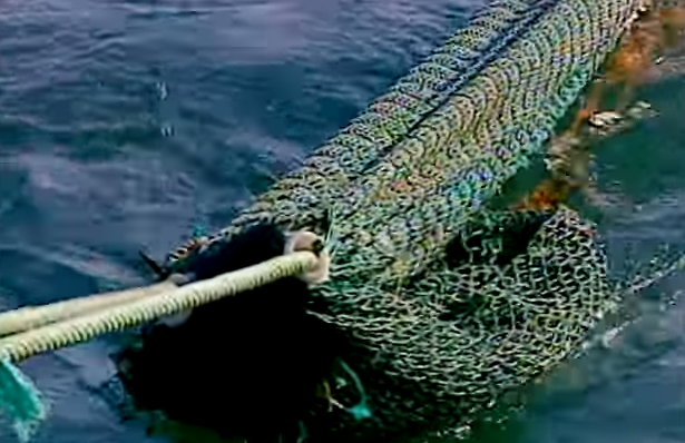 dong ho vach mat ke giet nguoi anh 1