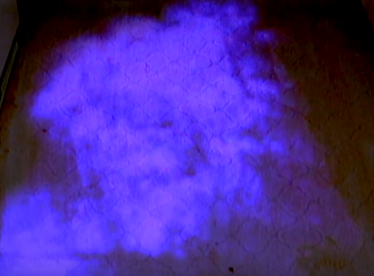 Pha an tu doi ban tay dut lia anh 7