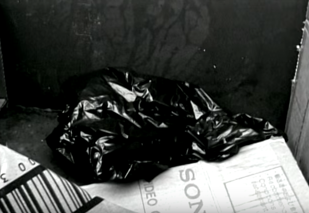 Pha an tu doi ban tay dut lia trong tui nylon hinh anh