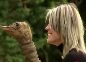 Het hon vi da dieu giua duong hinh anh