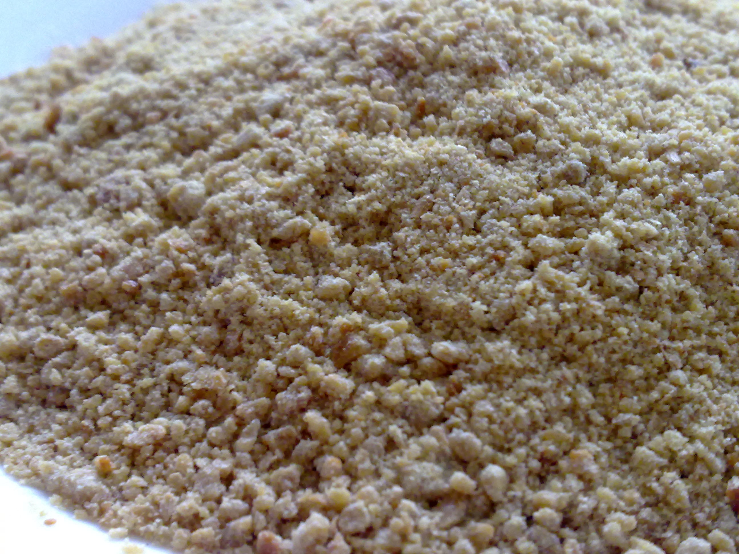 Gioi dau tu dua nhau vo vet cam heo hinh anh