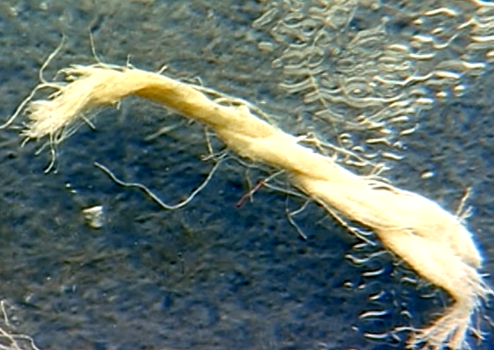 Thieu gia thue giet nguoi anh 5