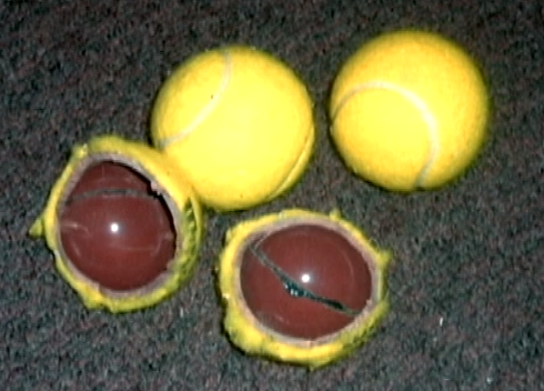 thieu gia thue nguoi giet ca nha anh 5