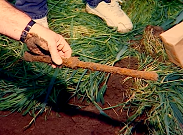 thieu gia thue nguoi giet ca nha anh 8