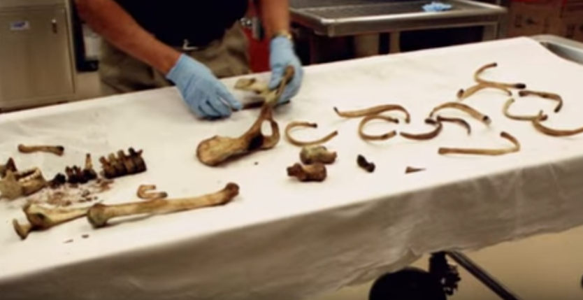 Ke giet nguoi lo mat anh 6