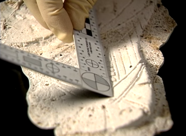 Manh moi pha an anh 1