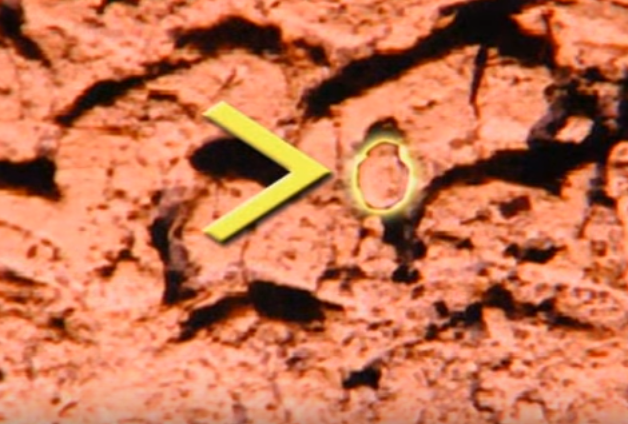 Giet gai ban dam anh 2