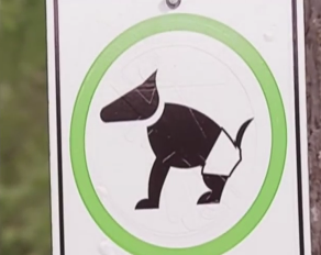 Deo bim cho cho hinh anh