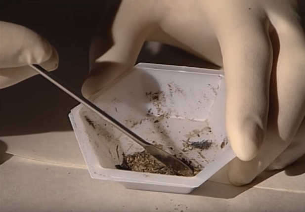 Ky an giet nguoi anh 4