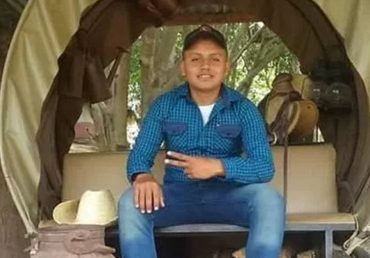 mat mang vi choi Pokemon Go anh 2