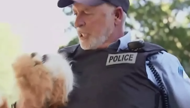 Tinh ngay ly gian voi xe canh sat hinh anh