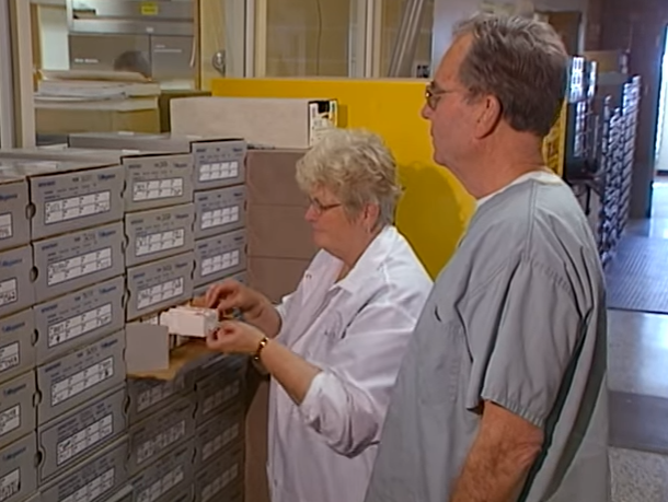 Manh moi pha an anh 5