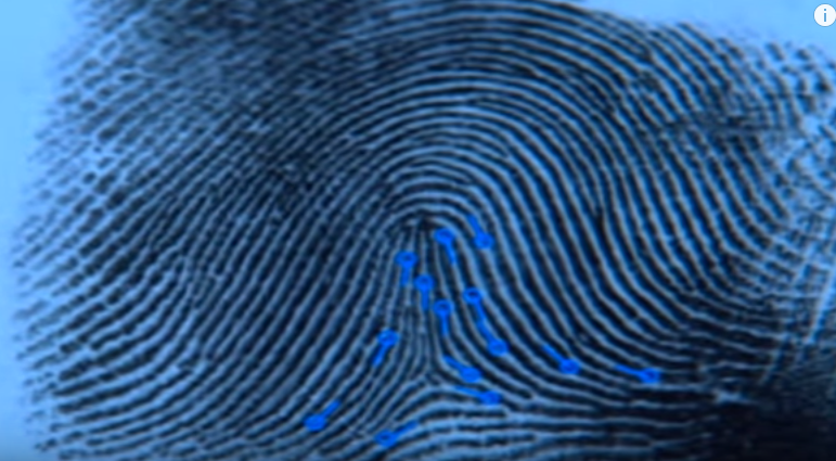 Sat hai nguoi dong tinh anh 5