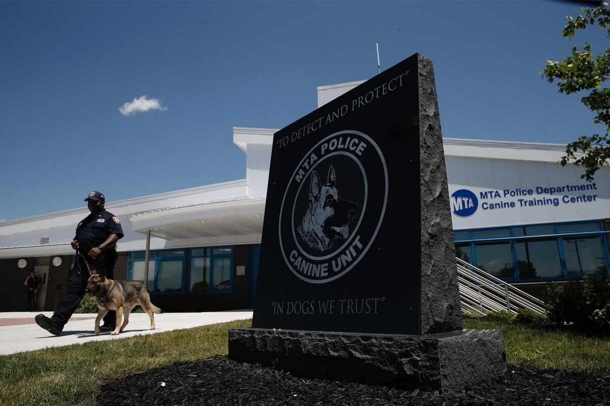 Huan luyen cho nghiep vu anh 10