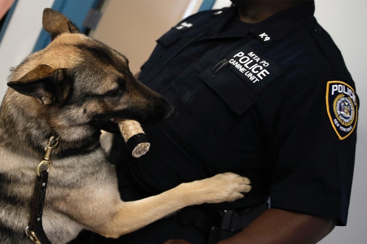 Huan luyen cho nghiep vu anh 7