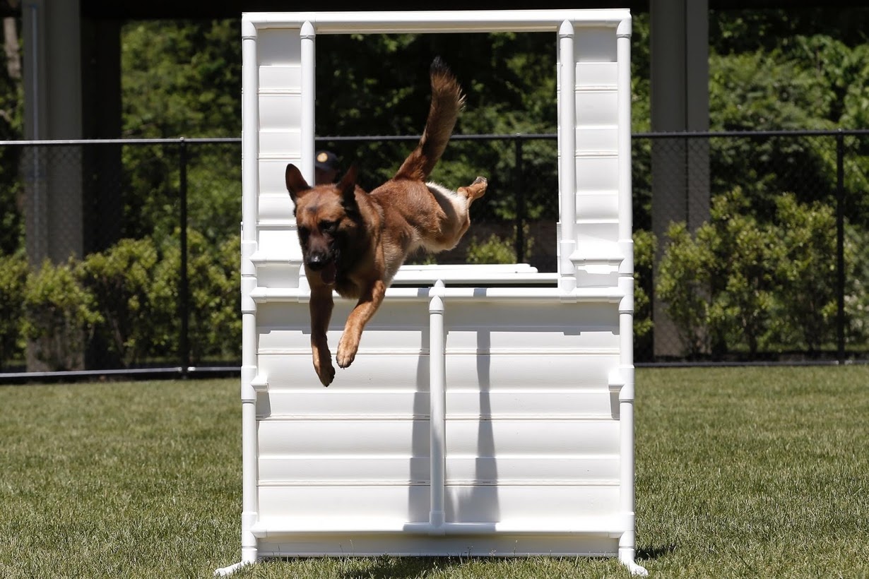 Huan luyen cho nghiep vu anh 8