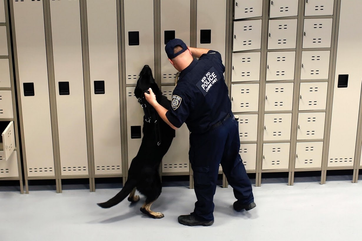 Huan luyen cho nghiep vu anh 9