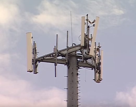 Chu nha bi giet anh 11