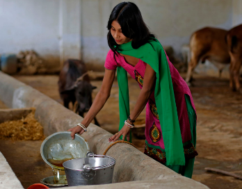 Nghe ky la o dat nuoc chuong chat thai cua bo hinh anh