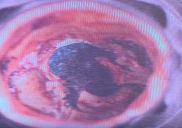 sat nhan co bang thac si anh 5