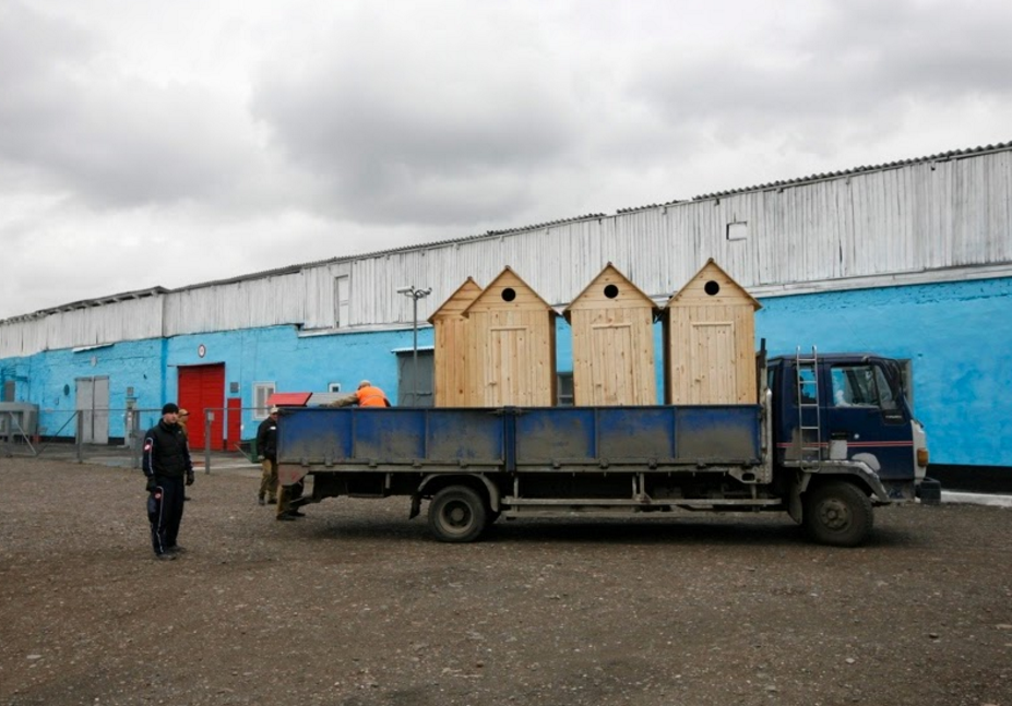 Cuoc song trong tu anh 11