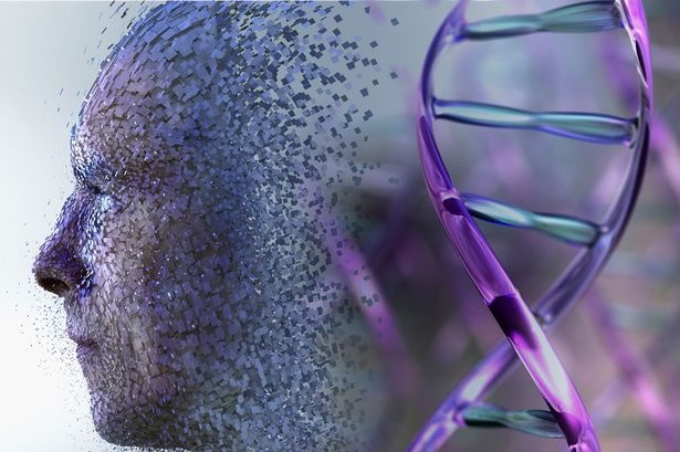 Canh sat co the phac thao mat nghi pham tu DNA hinh anh