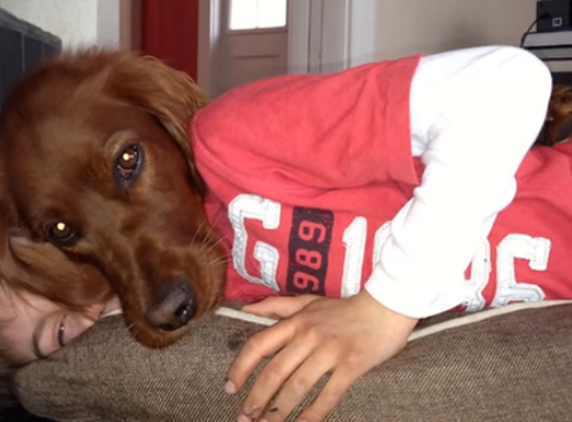 Loat anh danh lua thi giac hinh anh