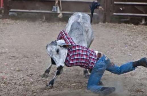 hinh anh gay cuoi anh 3